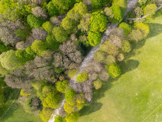 Aerial view from the drone of trees and a foot path in a park