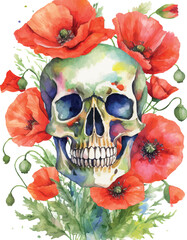 White skull in a wreath of red poppies, watercolor work.