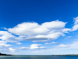 Autumn landscape in Lofoten Islands, Northern Norway, featuring colorful foliage, and a peaceful fjord.