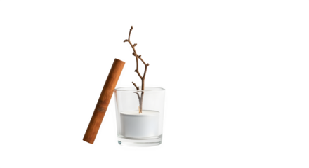 Aromatic cinnamon stick leaning against a glass of water with a small branch, creating a natural and calming atmosphere isolated on transparent background