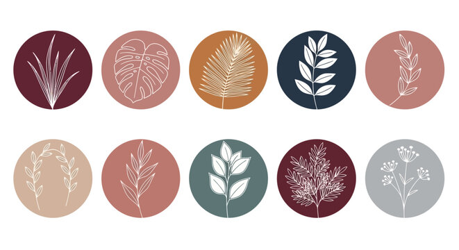 Modern minimalist set of botanical line art highlight covers. A sleek collection of hand-drawn plants and leaves for social media design