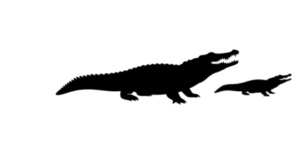 isolated crocodile family silhouette png on transparent background, reptile asset