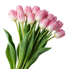 Obraz premium Beautiful bouquet of pink tulips isolated on transparent background for celebration
