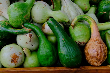 Fresh green bottle gourds stacked in a wood crate.