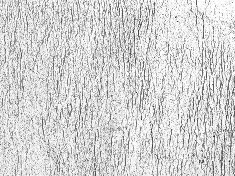 Distressed Plastisol Ink, Grunge Cracked Texture Overlay. For Retro T-shirt designs. Rough Dirty Worn Effect. Vintage Isolated Pattern.