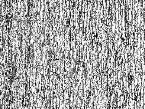 Distressed Plastisol Ink, Grunge Cracked Texture Overlay. For Retro T-shirt designs. Rough Dirty Worn Effect. Vintage Isolated Pattern.