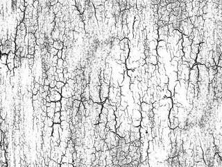 Obraz premium Distressed Plastisol Ink, Grunge Cracked Texture Overlay. For Retro T-shirt designs. Rough Dirty Worn Effect. Vintage Isolated Pattern.