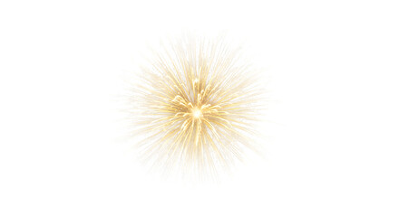 Obraz premium Golden firework isolated on transparent background is a beautiful and festive way to celebrate any special occasion, such as a birthday, anniversary, or holiday, and it is a great way to add