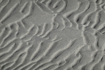 Sandrippeln - ripples of sand