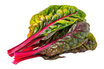 Close-up of fresh vibrant Swiss chard