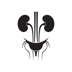 Human Kidney Anatomy Silhouette Icon – Medical Organ Vector for Healthcare, Anatomy Education, and Infographic Designs