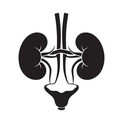 Human Kidney Anatomy Silhouette Icon – Medical Organ Vector for Healthcare, Anatomy Education, and Infographic Designs