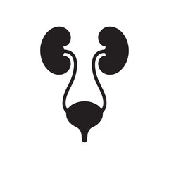 Human Kidney Anatomy Silhouette Icon – Medical Organ Vector for Healthcare, Anatomy Education, and Infographic Designs
