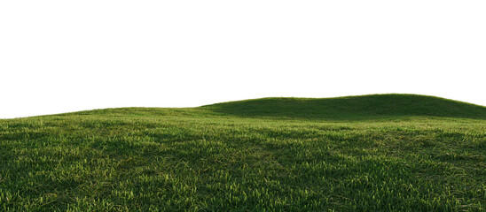 Hills with grass on a transparent background. 3D rendering.	
