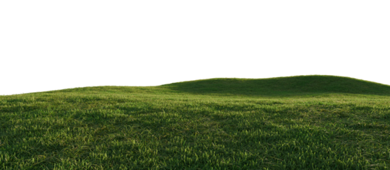 Hills with grass on a transparent background. 3D rendering.	
