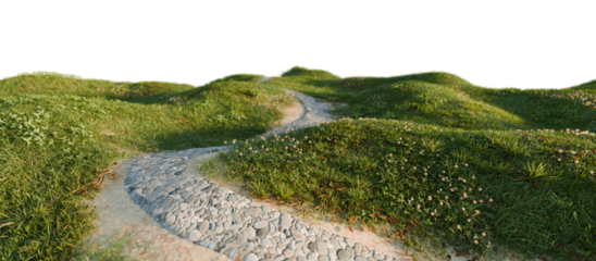 Winding stone path through grassy hills. 3D rendering.