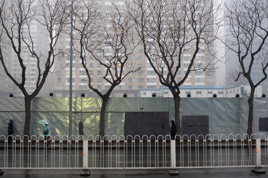 trees befor building in beijng china asia