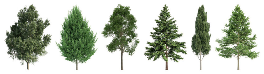 Obraz premium PNG Diverse realistic evergreen tree collection transparent background.