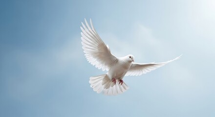 Obraz premium White Bird Flying in Clear Blue Sky Symbol of Freedom