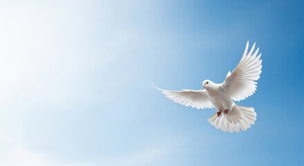 Fototapeta premium Graceful White Dove Flying in Blue Sky with Spread Wings