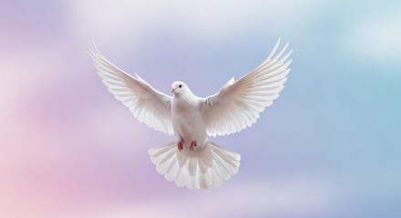 Obraz premium Front View of White Dove Flying Against Soft Pastel Purple and Blue Sky