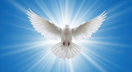 Majestic White Dove Soaring in Blue Sky with Divine Sunburst