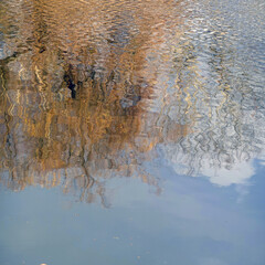 Baum im Herbstkleid spiegelt sich im See - reflexion of a tree in autumnal foliage in a lake
