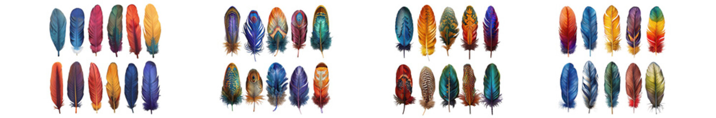 Vibrant collection of watercolor style feathers in various colors, artistic design elements. isolated on transparent background