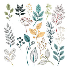 Hand-drawn botanical illustrations featuring different types of leaves, branches, and small berries in various colors.