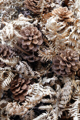 Herbstliches Arrangement mit Trockenpflanzen in Naturfarben - autumnal arrangement of dried plants in natural colours