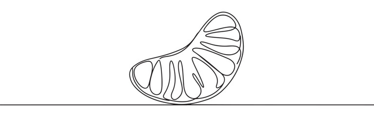 A continuous one-line drawing of a single peeled orange segment, highlighting its natural curves against a clean white background