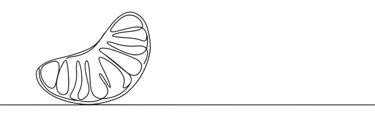 A continuous one-line drawing of a single peeled orange segment, highlighting its natural curves against a clean white background