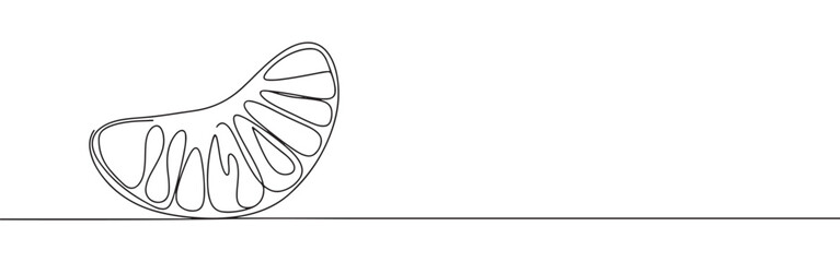 A continuous one-line drawing of a single peeled orange segment, highlighting its natural curves against a clean white background