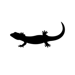 Lizard or gecko silhouette graphic vector art illustration Vector, illustration