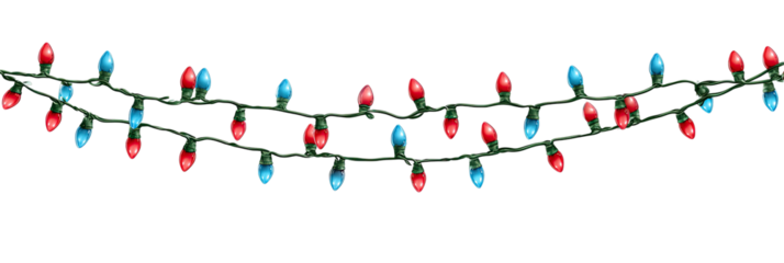 Red and blue Christmas lights strung on dark branches