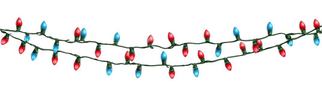 Red and blue Christmas lights strung on dark branches