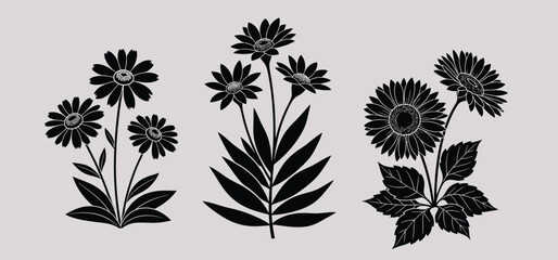 Collection of stylized black vector silhouettes of plants.