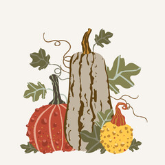 Composition of cute yellow red green pumpkins. Vector illustration, good for thematic emblem, banner, calligraphy poster, greeting card, party invitation