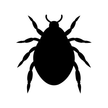 Tick insect parasite outline icon vector illustration Vector, illustration