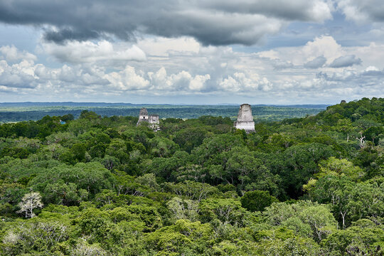Tikal, Peten Gautemala, Antigua ciudad Maya 