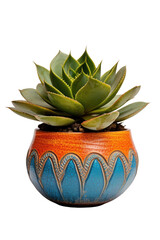 Elegant succulent thrives in vibrant, decorative pot, bringing a touch of nature indoors, perfect for modern home decor and adding a calming, organic element to any space with its lively green hues