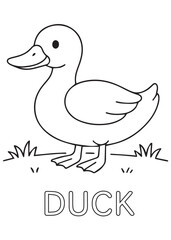 Coloring book cute duck standing on grass, ideal for early childhood coloring.