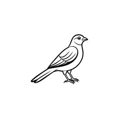 Minimal bird outline vector, illustration in clean line art style