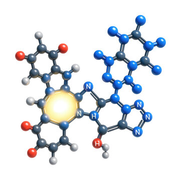 FADH2 molecule featuring a flavin adenine dinucleotide structure.