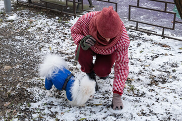 Responsible woman cleaning up dog waste with plastic bag in snowy park, urban pet hygiene, environmental cleanliness, or civic duty lifestyle themes