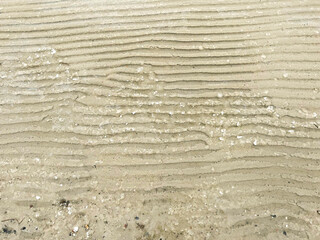 Minimal Close-Up of Smooth Beach Sand with Natural Horizontal Ripple Patterns and Soft Shoreline Texture