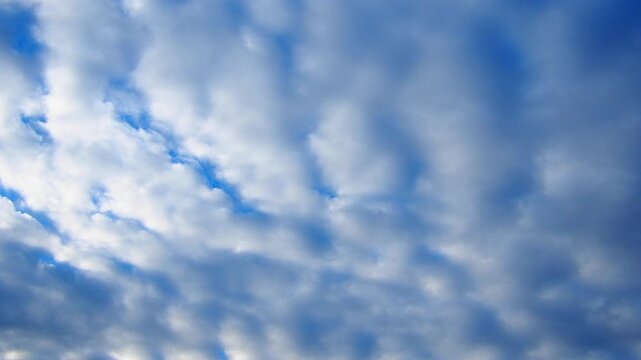 Time lapse altocumulus high cumulus heaped cloud genus which belongs to stratocumuliform. Globular masses or rolls in layers or patches. Cumuliform stratocumuliform clouds. Blue sky. Quickly motion