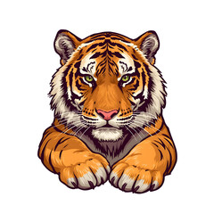 Running Tiger Forward on White Background