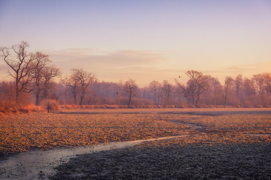 Ethereal Sunrise Over a Frosted Winter Landscape, nature background or wallpaper - Powered by Adobe