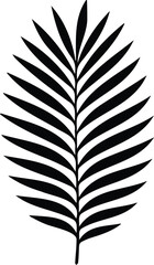 Fototapeta premium A minimalist black silhouette of a tropical palm leaf, featuring a central stem with numerous symmetrical leaflets extending outwards, isolated on